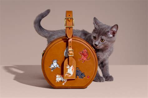 borsa per gatto louis vuitton|Louis Vuitton.